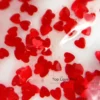 Top Love Red HEMA & TPO Free