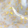 Base Potal №1 HEMA & TPO Free